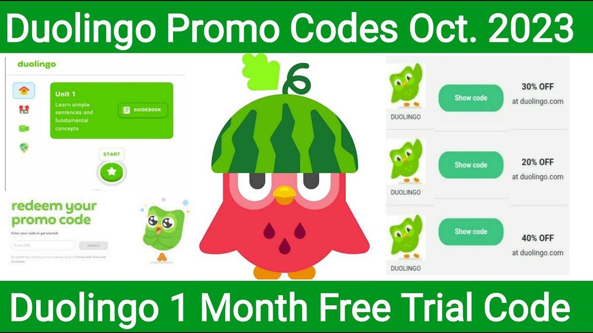 Finding & Applying Duolingo Promo Codes to Save on Language Learning
