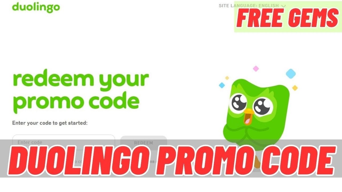 Student & Educational Discounts for Duolingo Available for Language Learners